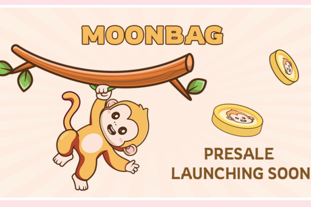 MoonBag Presale