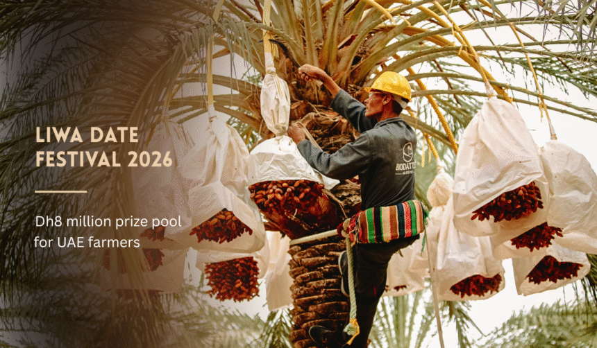 UAE farmer harvesting dates during Liwa Date Festival2026