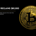 Bitcoin price rise above $80,000.